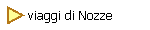 Viaggi di Nozze